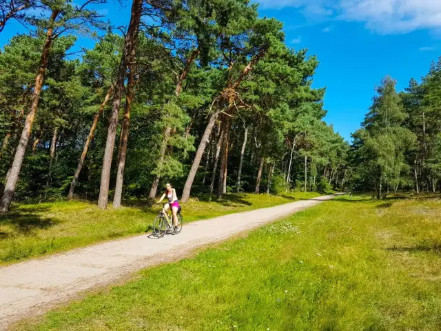 Wicie atrakcje: odkryj rodzinne skarby i niezapomniane chwile