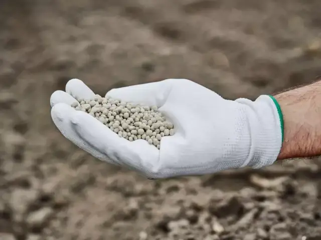 Jakie wapno wybrać, żeby realnie poprawić plony? Praktyczny poradnik dla rolników