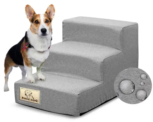 Jak zbudować schodki dla psa, aby zapewnić mu komfort i bezpieczeństwo