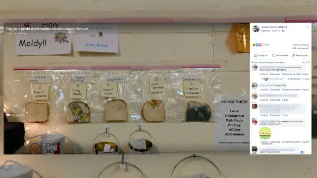 Eksperyment z chlebem: Najlepsza lekcja higieny dla dzieci.