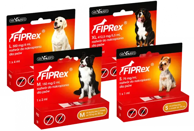 Gdzie kupić lek GS na FIP? Sprawdź legalne źródła w Polsce