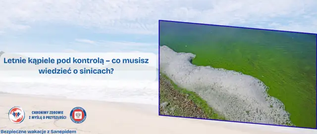 Hel czy są sinice? Różnice, zagrożenia i ekologiczne znaczenie tych zjawisk