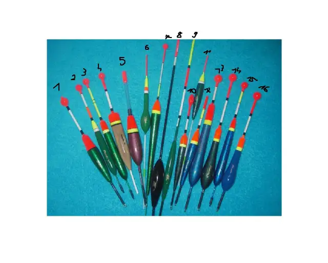 Jaki spławik na płoć: wybierz najlepszy spławik na udane połowy