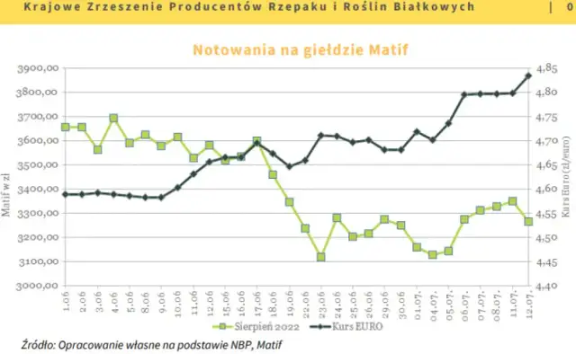 Rzepak w skupie 2026: Jak uzyskać najlepszą cenę?