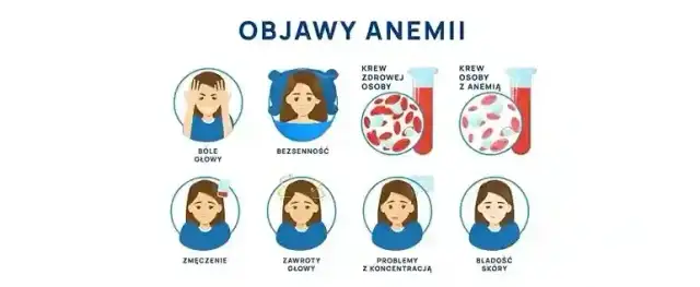 Zmęczenie, apatia, lęk? To może być niedobór żelaza! Jak leczyć?