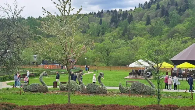 Ogrody sensoryczne w Muszynie - godziny otwarcia i atrakcje w pobliżu