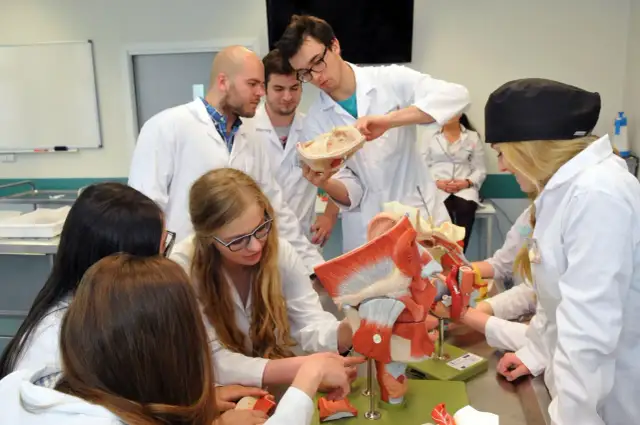 Studia medyczne: Jakie przedmioty na maturze wybrać strategicznie?