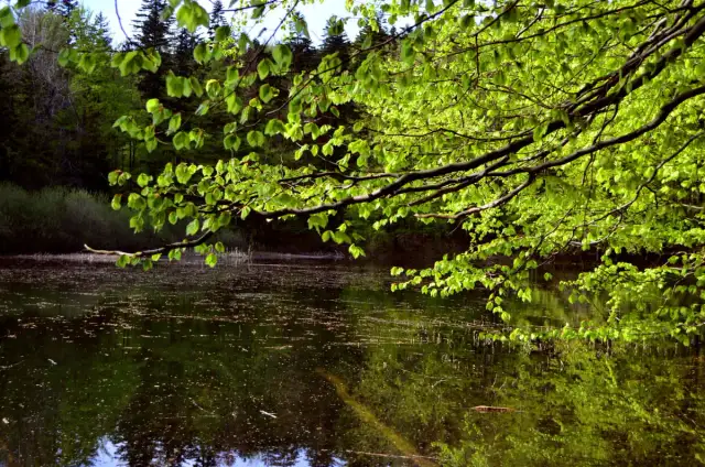 Jezioro Kiełpińskie – odkryj tajemnice dwóch pięknych jezior w Polsce