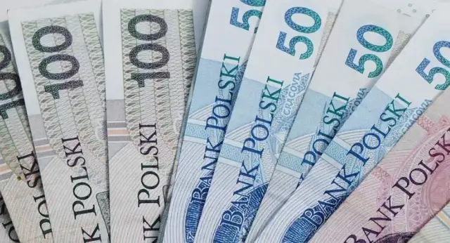 Ile naprawdę zarabia nauczyciel biologii w Polsce? Sprawdź fakty!