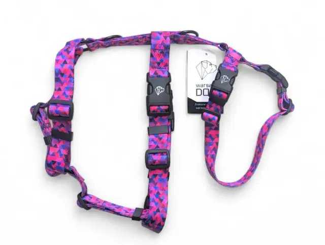 Pierwsze szelki dla szczeniaka: Wybierz idealne dla komfortu i zdrowia