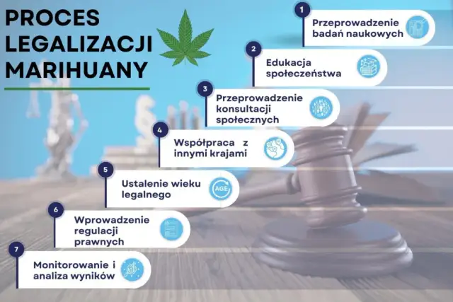 Marihuana w Polsce: Kiedy depenalizacja? Szanse na zmiany 2026