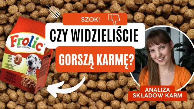 Najgorsza karma dla psa – unikaj tych składników i marek
