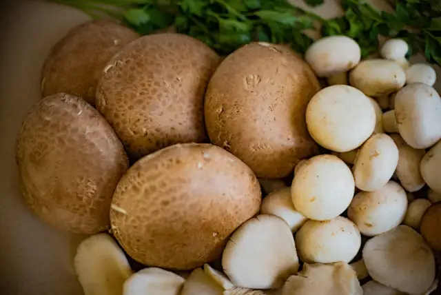 Jakie przyprawy do pieczarek i cebuli, które zmienią smak potraw?