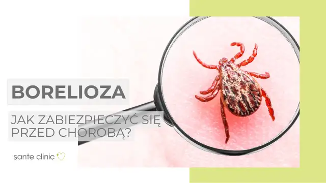 Kleszcze i borelioza: Jak skutecznie zapobiegać i co robić po ukąszeniu?