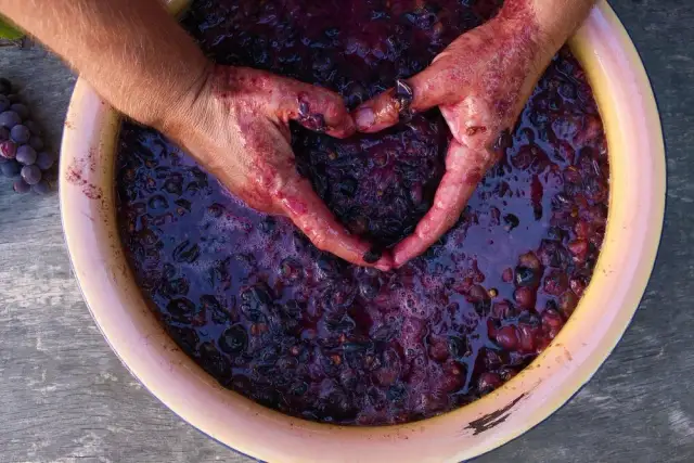 Jak zrobić wino z winogron - proste przepisy i najczęstsze błędy