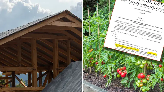 Jakie budynki gospodarcze można postawić bez pozwolenia na budowę?