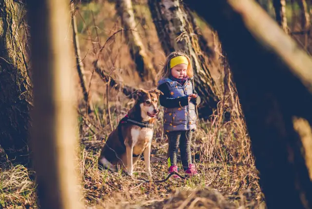 Najlepsze miejsca na spacer z psem w okolicach Warszawy, które musisz znać