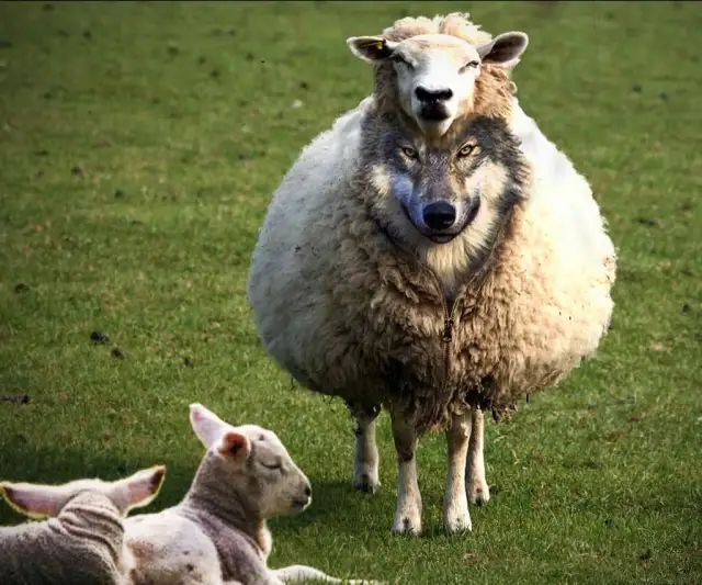 Kim jest fałszywy prorok z Apokalipsy i jakie niesie zagrożenia?