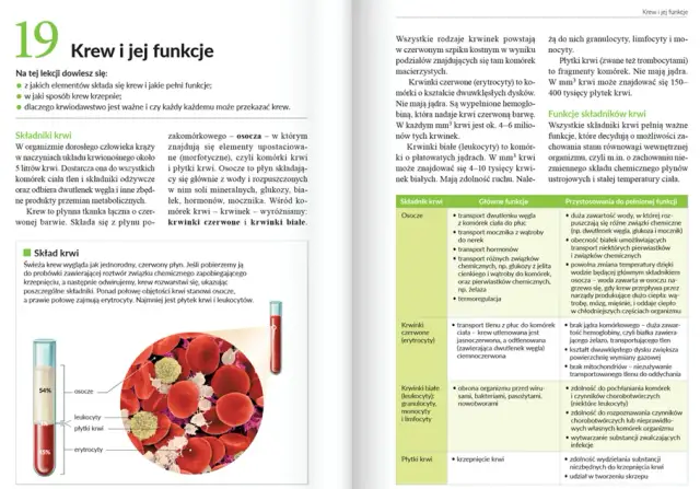Gdzie znaleźć sprawdziany z Nowej Ery, by skutecznie się uczyć?