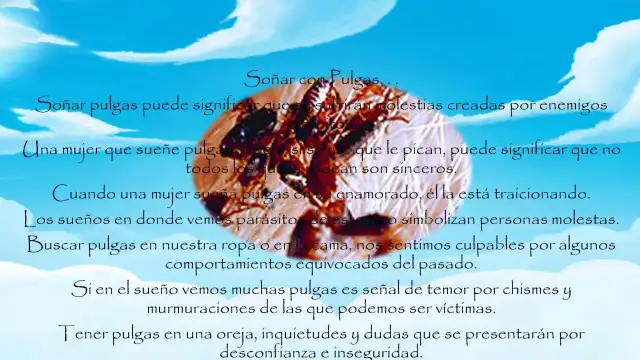 Soñar con pulgas: significado profundo y lo que revela de ti