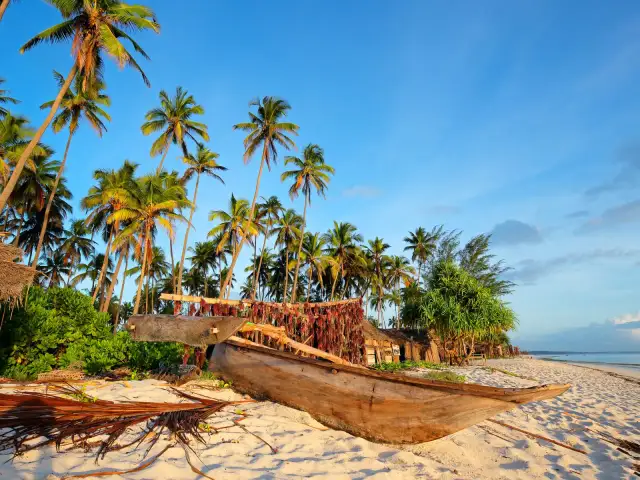 Ile kosztuje lot do Afryki? Ceny, triki i tanie bilety!