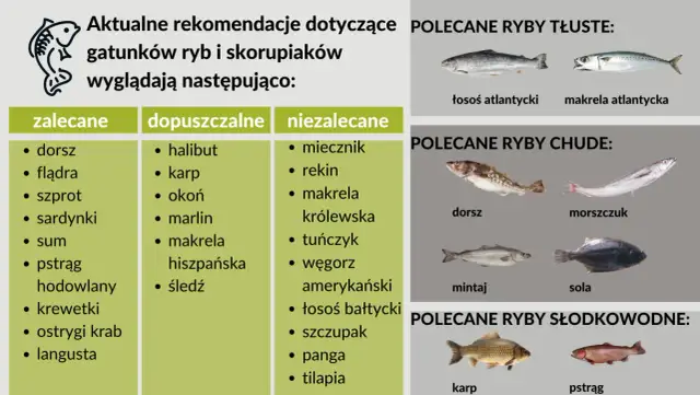 Jakie rybki dla dziecka wybrać? Bezpieczne opcje dla zdrowia i radości