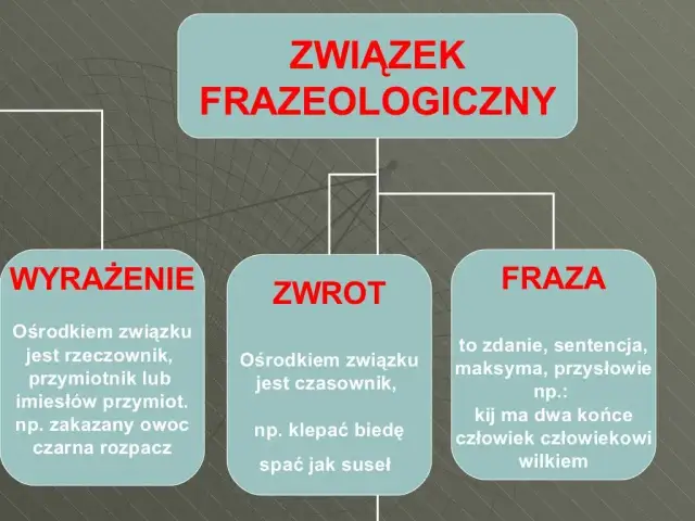 Frazeologizmy przykłady i wyjaśnienia, które zaskoczą Twoich rozmówców