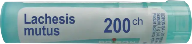 Lachesis homeopatia: jak skutecznie łagodzi objawy hormonalne