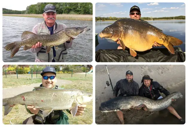 Jezioro Chojno: Ciekawe fakty, atrakcje i ryby do złowienia