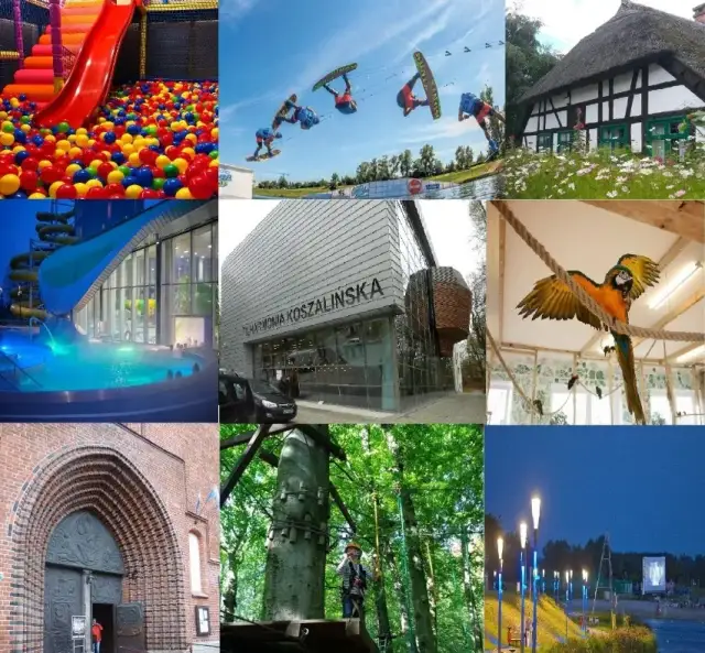 Koszalin: co zwiedzić? Odkryj skarby Pomorza i gotowe plany!