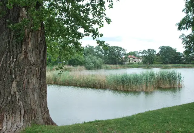 Warszawa Włochy: Atrakcje, parki i historia - odkryj dzielnicę