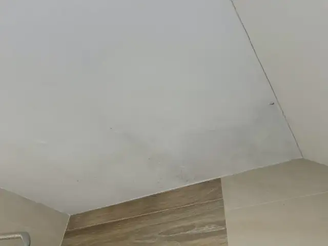 Skuteczne sposoby na pozbycie się grzyba z silikonu w domu