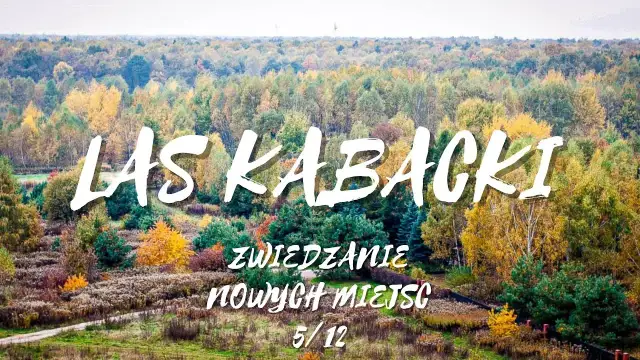 Najlepsze atrakcje w Lesie Kabackim – odkryj tajemnice natury