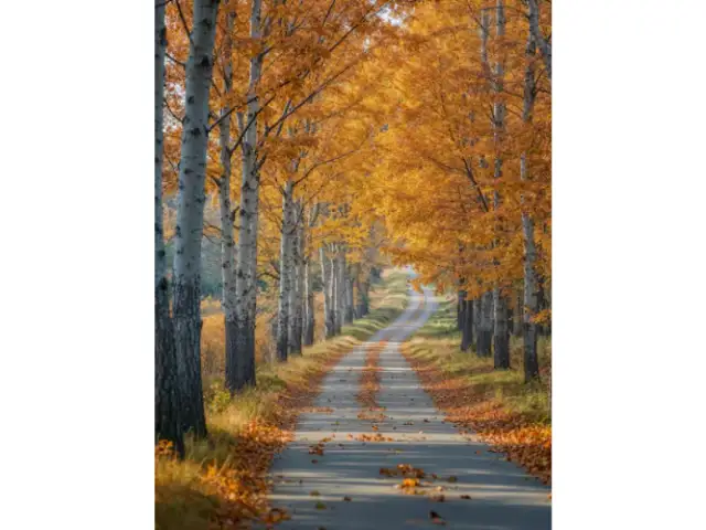 Pani Jesień wiersze: Najpiękniejszy zbiór dla dzieci i dorosłych