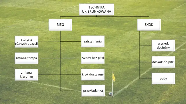 Jak się wybić w piłce nożnej? Kluczowe kroki do sukcesu zawodowego