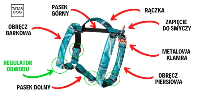 Jak założyć szelki dla psa - proste kroki, które ułatwią życie