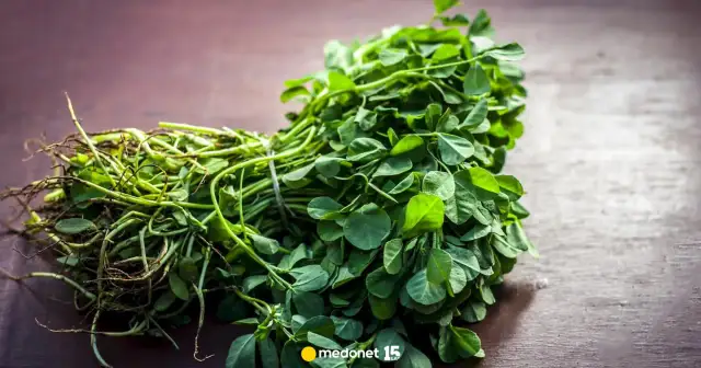 Herbata z kozieradki: Jak zrobić? Przepisy, korzyści i dawkowanie