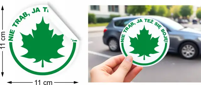 Gdzie kupić listek dla początkującego kierowcy? Sprawdź najlepsze miejsca