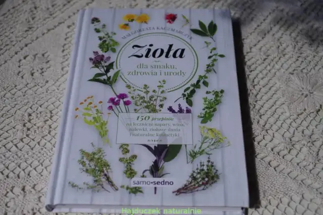 Polskie zioła na herbatę: Od łąki do filiżanki zdrowia i smaku