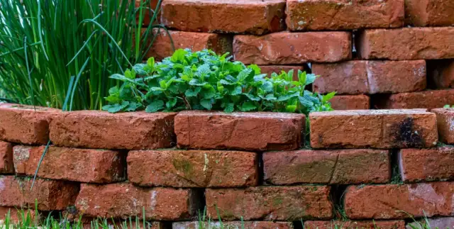 Pomysły na to, co można zrobić z cegły w ogrodzie, które zachwycą