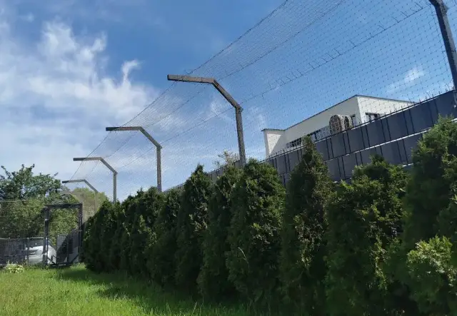 Jak zabezpieczyć płot przed kotem? Skuteczne i humanitarne metody