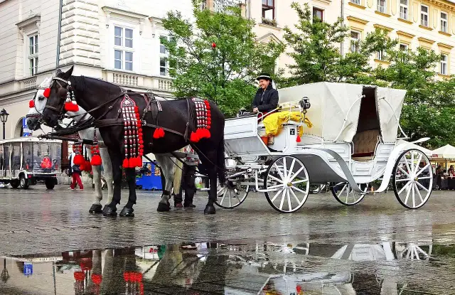 Małopolska gdzie z dzieckiem - najlepsze atrakcje dla rodzin
