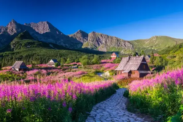 Gdzie w polskie góry? Przewodnik: Tatry, Bieszczady i inne perełki