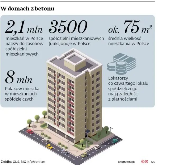 Kto wybiera prezesa spółdzielni? Poznaj zasady i swój wpływ