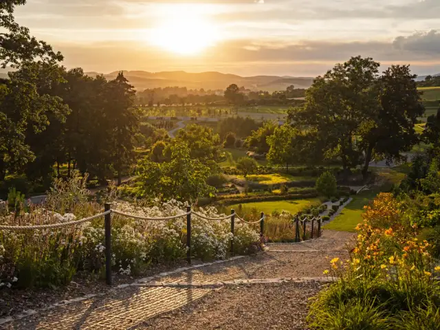 Kiedy jechać do arboretum Wojsławice, aby nie przegapić kwitnienia?