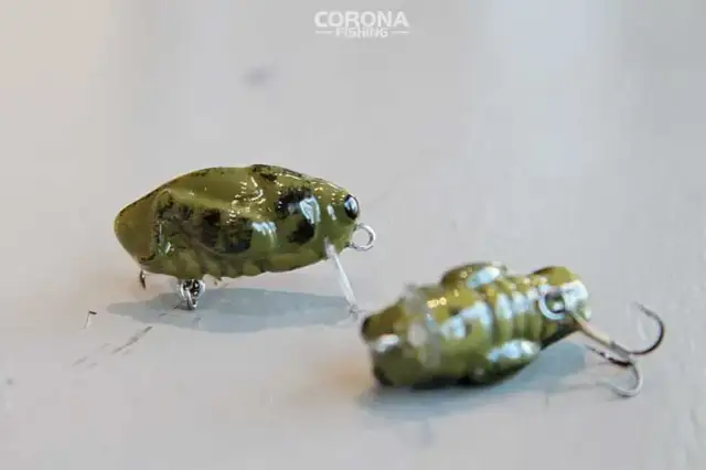 Najlepsze przynęty na białoryb: naturalne, sztuczne, przepisy DIY