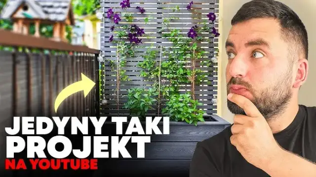 Donica z pergolą DIY: Kompletny przewodnik krok po kroku