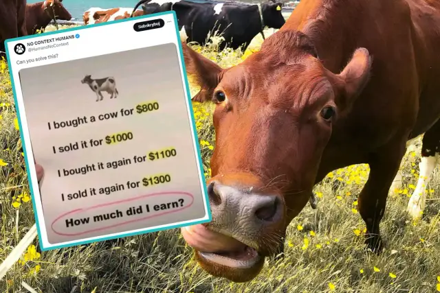 Zagadka co pije krowa: zaskakująca odpowiedź, którą musisz znać