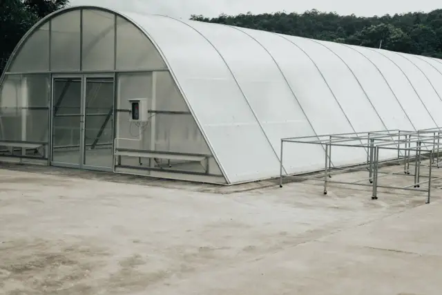 Zarobki z tunelu foliowego: Czy to się opłaca? Sprawdź kalkulacje.