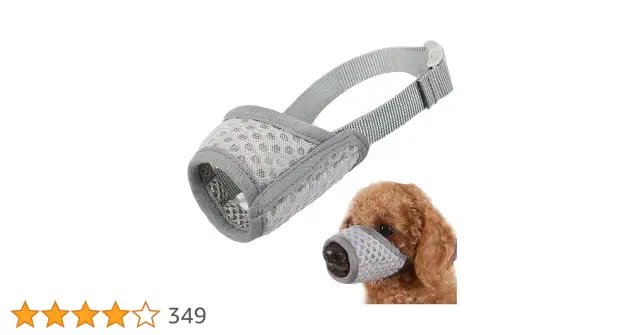 Kaganiec dla psa: Zmierz pupila idealnie! Zapas na ziajanie to klucz